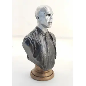 Polyester Voldemort Büst Küçük 245