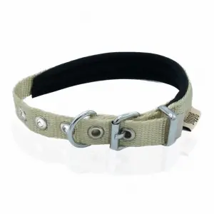 Softlu Köpek Boyun Tasması 2 cm x 45 cm Haki