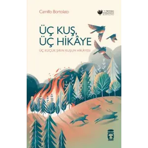 Üç Kuş, Üç Hikâye