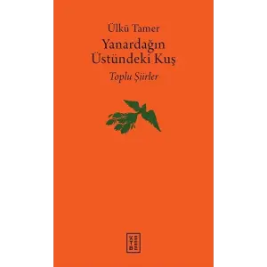 Yanardağın Üstündeki Kuş