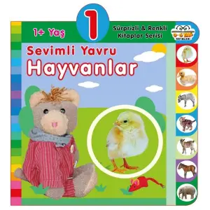 Yaş Sevimli Yru Hayvanlar (1+Yaş)