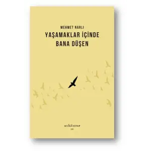 Yaşamaklar İçinde Bana Düşen