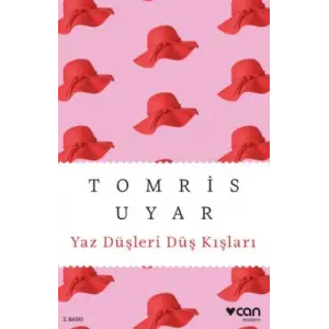 Yaz Düşleri Düş Kışları