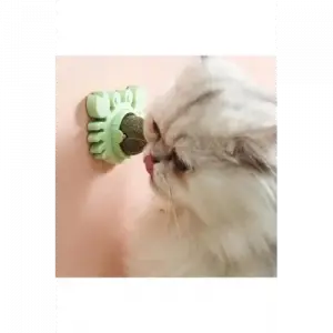 Yengeç Kedi Otu Oyun Topu