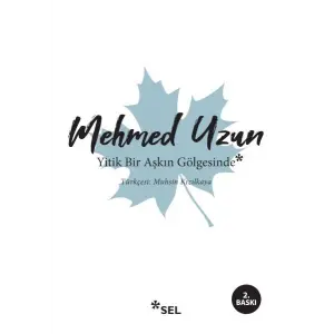 Yitik Bir Aşkın Göesinde