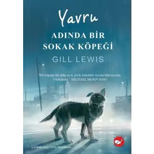 Yru Adında Bir Sokak Köpeği