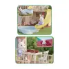 04139 DOĞA AİLESİ YAZ EVİ