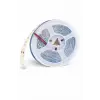1 Adet 5 METRE CATA CT 4484 İç Mekan 12V 10 Çipli Şerit Led Mavi Işık