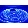 1 Adet 5 METRE CATA CT 4484 İç Mekan 12V 10 Çipli Şerit Led Mavi Işık