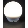 1 Adet ERKLED ERK 2042 Led Ampul 12W Beyaz Işık 6500K E27 Duy