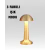 %100 Kademeli Ayarlanabilir Işık – USB Şarjlı Masa Lambası