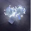 10m 100 Led Damla Uçlu Beyaz Işık Şeffaf Kablo Mz-17-1