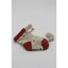 2Li Love Dog Penye Soket Çorap 10118 Bej