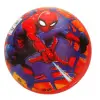 26018 -  LİSANSLI PLASTİK TOP 23 CM - 1 ADET