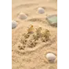 3 lü Set Gold Renk Deniz Yıldızı Model Küpe