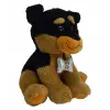 30 CM SESLİ 3 ASORTİ KÖPEK