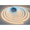 5 METRE CATA CT 4481 İç Mekan 12V 10 Çipli Şerit Led 3200K Günışığı
