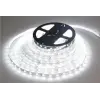5 METRE CT 4480 Cata 10 Çip İç Mekan Şerit Led Beyaz 12V