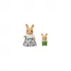 5728 Sylvanian Families Gift Set Kasaba Okulu Seti +4 yaş