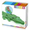 58562 - İNTEX TİMSAH 203 CM - 1 ADET