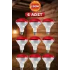 (6 Adet) 250W Kızılötesi Isıtıcılı Hayvan Isıtma ve Kuluçka Lambası (Kırmızı Işık) E27 (Kalın Duy)