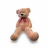 62723 PELUŞ 100CM UZUN AYI