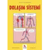 Dola??m Sistemi ? Gen?ler ??in ?izgilerle Bilim [Jan 07, 2026] Joseph Midthun and Zeynep Serinker