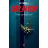 Oblivion - Karanl?k ?stila [Paperback] [Nov 11, 2025] Ege Demirb?ken
