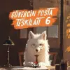 G?vercin Posta Te?kilat? 6 [Apr 15, 2025] Mehmet ?elik, Veysel Toprak