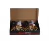 7631 KUTUDA 12Lİ BİSİKLET