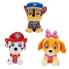 79552 SUN-HTI-SBR-PELUŞ PAW PATROL LIL BODZ VALENTINES 28CM PAW 3A