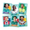 8040 FİFA WORLD CUP 2026 UPDATE SET STİCKER CALLECTİON