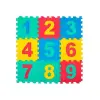 9 Parça Sayılar Puzzle Yer Matı
