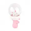 960B Işıklı Hayvanlı Su Tabancası -Birliktoys
