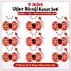 9’lu Uğur Böceği Kostüm Seti – Kanat Taç Asa