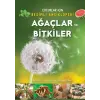 Ağaçlar ve ler