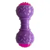 Aktivite Sesli ve Işıklı Köpek Oyuncak Dumbel 5x15 cm Mor