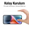 ALLY iPhone 14 Plus 6.7inç Tempered Kırılmaz Cam Ekran Koruyucu-(5775)