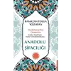 Anadolu Şifacılığı