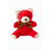 Ayıcık Peluş Çanta Anahtarlık 12 cm