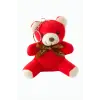 Ayıcık Peluş Çanta Anahtarlık 12 cm