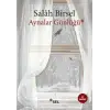Aynalar Günlüğü