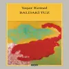 Baldaki Tuz
