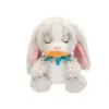 BAW02000 Baby Paws Sesli Tşan 20 cm Peluş