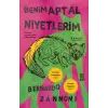 Benim Aptal Niyetlerim