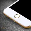 Benks İPhone 66plus 6s6s Plus77plus 88plus Touch İd Tuşu-(5775)