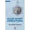 Bir Devrin Romanı