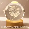 Bitki Temalı LED Işıklı Cam Küre Ahşap Standlı Modern Gece Lambası