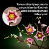 Botanicals Manolya Dalları 11510