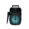 BT612 SPEAKER